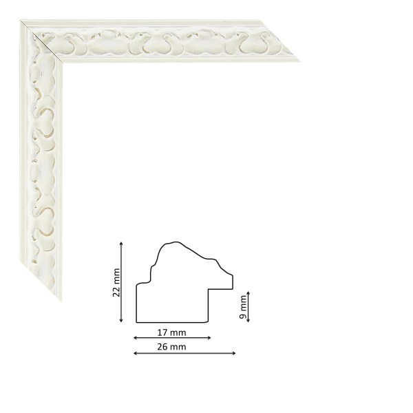 IM3082-581.jpg