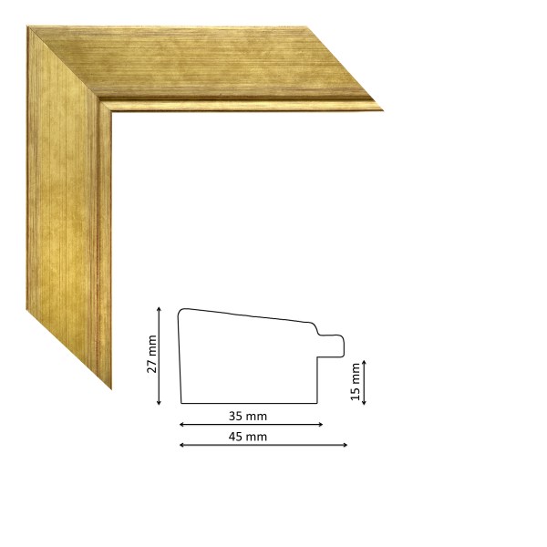 IM7902-741.jpg_1