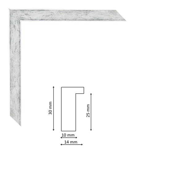 SR125-82=32.jpg
